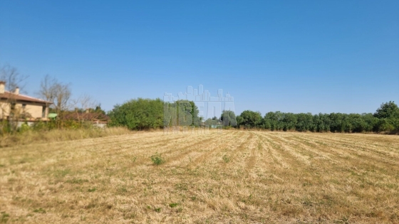 ТОП ИНВЕСТИЦИЯ! Урегулиран парцел 4636 кв.м в с. Левски, обл. Варна – за 4 къщи с панорама! ТОП ИНВЕСТИЦИЯ! Урегулиран парцел 4636 кв.м в с. Левски, обл. Варна – за 4 къщи с панорама!